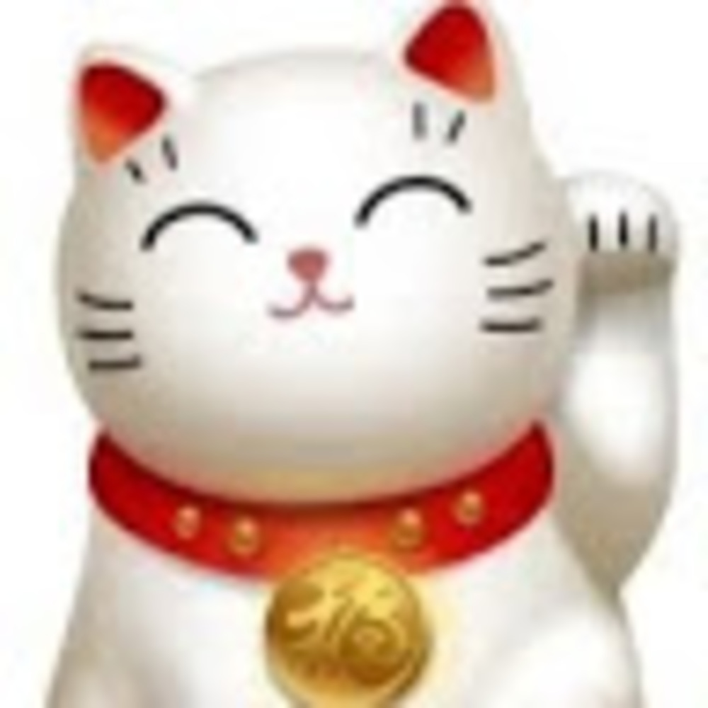 Meet your Posher, Rosie